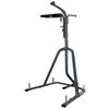 Everlast Heavy Bag and Speed Bag Stand